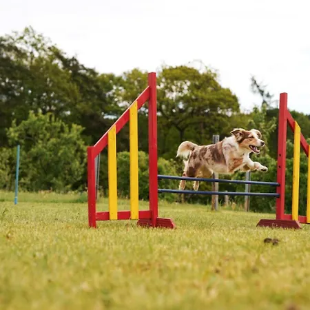 Hof Köhne - Altes - Bauernwohnung Apartment Schmallenberg