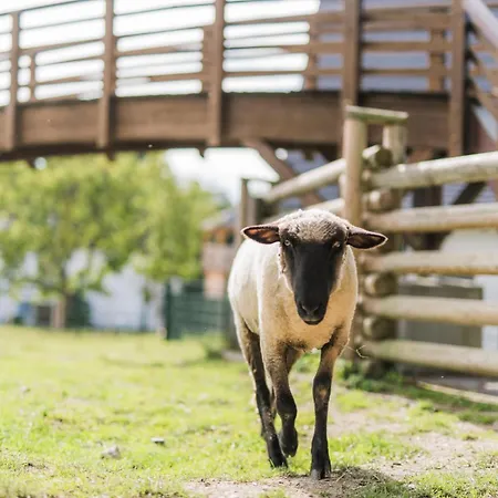 Hof Koehne - Altes - Bauernwohnung