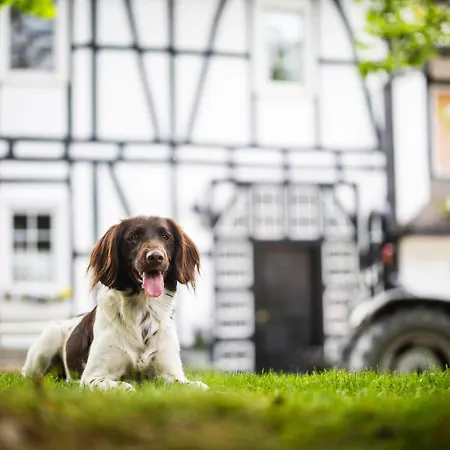 Hof Köhne - Altes - Bauernwohnung *