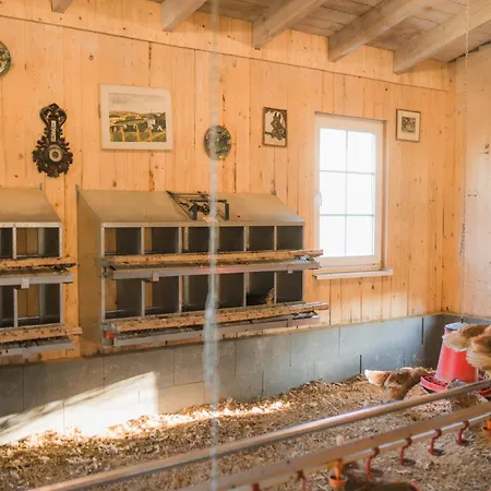 Hof Köhne - Altes - Bauernwohnung Schmallenberg