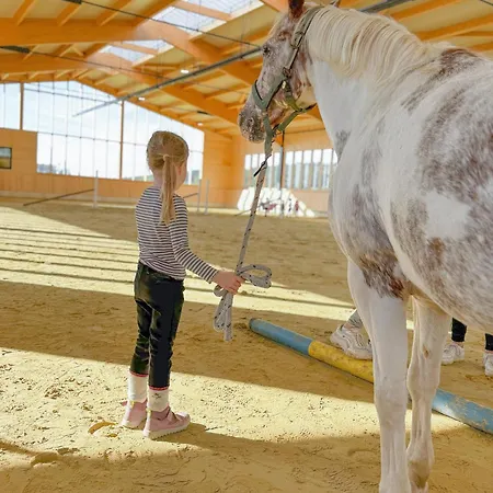Hof Köhne - Altes - Bauernwohnung Apartment Schmallenberg