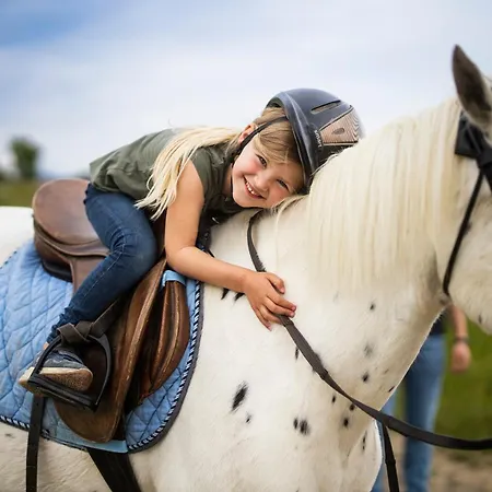 Hof Koehne - Altes - Bauernwohnung Apartment Schmallenberg