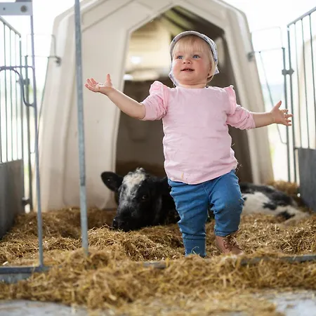 Hof Koehne - Altes - Bauernwohnung Apartment