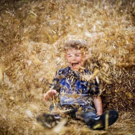 Hof Koehne - Altes - Bauernwohnung