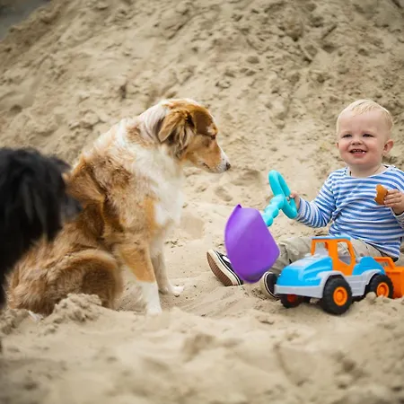 Hof Koehne - Altes - Bauernwohnung Apartment