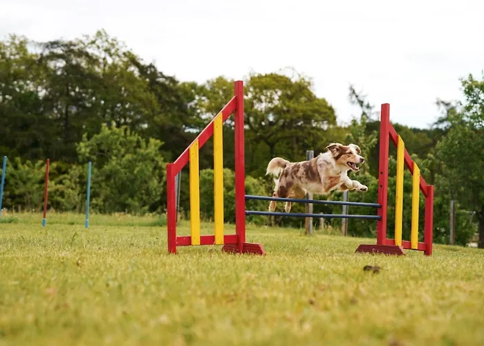 Hof Koehne - Altes - Bauernwohnung Διαμέρισμα Schmallenberg