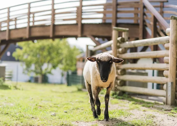 Hof Koehne - Altes - Bauernwohnung