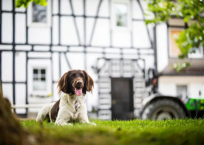 Hof Koehne - Altes - Bauernwohnung *