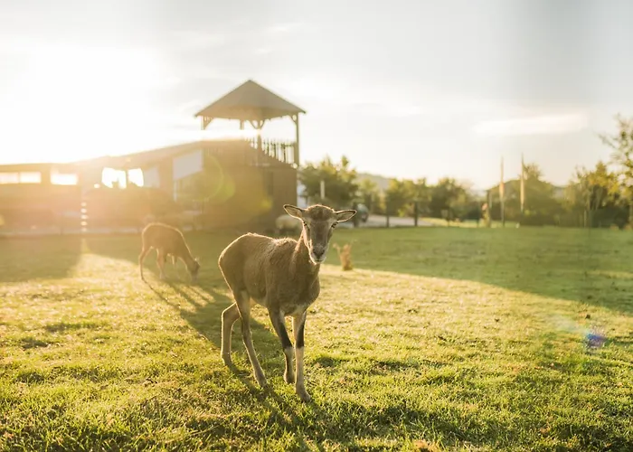 Hof Koehne - Altes - Bauernwohnung Διαμέρισμα *